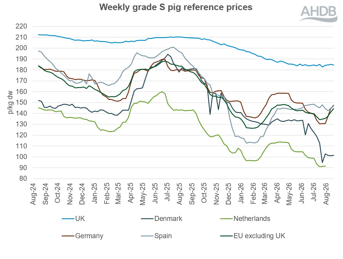 Line graph of EU grade S pig prices for two years up to 23 August 2026.